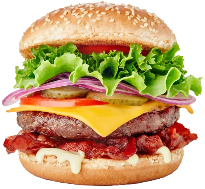 Gourmet Special Burger