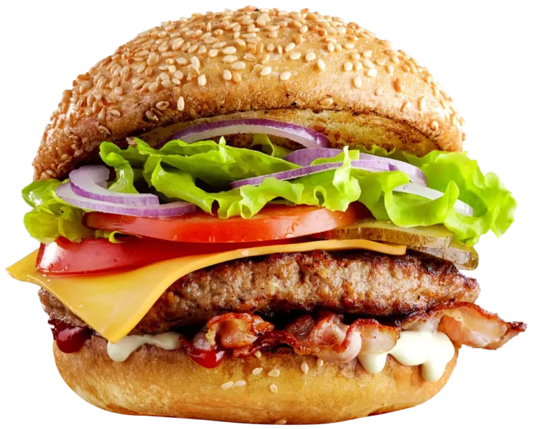 Gourmet Burger